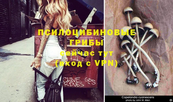 прущая мука Алзамай