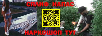 стаф Малгобек