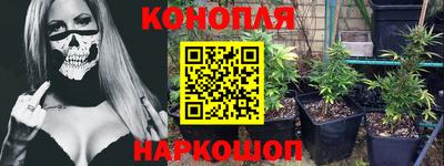 стаф Малгобек