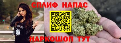 стаф Малгобек