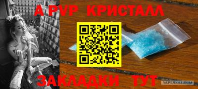 стаф Малгобек