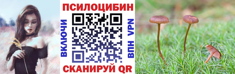Галлюциногенные грибы мицелий  где найти   Гусь-Хрустальный 